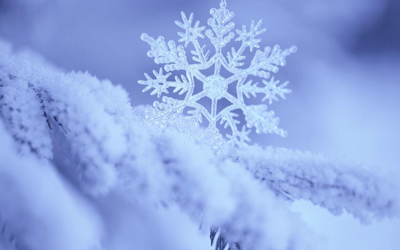 138-1383024_snowflake-wallpaper-16236
